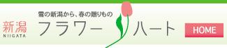 �V���t�����[�n�[�g